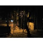 Zdjęcia użytkowników Honor 10