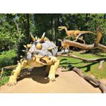 Zdjęcia użytkowników Honor 10