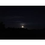 Zdjęcia użytkowników Honor 10