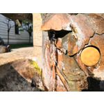 Zdjęcia użytkowników Honor 10