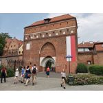 Zdjęcia użytkowników Honor 20