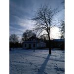 Zdjęcia użytkowników Honor 5X