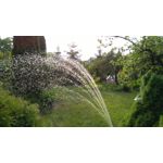 Zdjęcia użytkowników Honor 5X