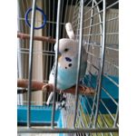 Zdjęcia użytkowników Honor 5X