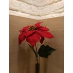 Zdjęcia użytkowników Honor 5X