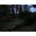 Zdjęcia użytkowników Honor 6 Plus