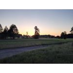 ZDJĘCIA Z TEGO TELEFONU