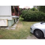 Zdjęcia użytkowników Honor 6 Plus