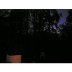 Zdjęcia użytkowników Honor 6 Plus