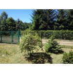 Zdjęcia użytkowników Honor 6 Plus