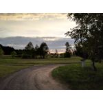 Zdjęcia użytkowników Honor 6 Plus