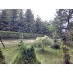 Zdjęcia użytkowników Honor 6 Plus