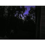 Zdjęcia użytkowników Honor 6 Plus