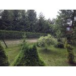 Zdjęcia użytkowników Honor 6 Plus