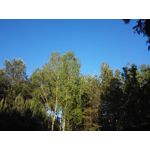 ZDJĘCIA Z TEGO TELEFONU