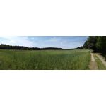 Zdjęcia użytkowników Honor 6 Plus