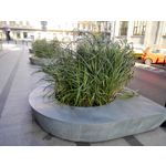 Zdjęcia użytkowników Honor 6