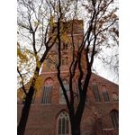 Zdjęcia użytkowników Honor 6