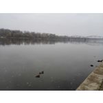 Zdjęcia użytkowników Honor 6