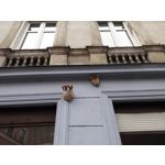 Zdjęcia użytkowników Honor 6