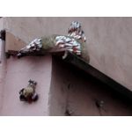 Zdjęcia użytkowników Honor 6