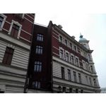 Zdjęcia użytkowników Honor 6