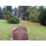 Zdjęcia użytkowników Honor 6