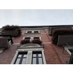 Zdjęcia użytkowników Honor 6