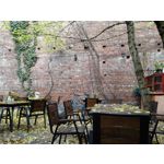 Zdjęcia użytkowników Honor 6