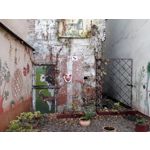 Zdjęcia użytkowników Honor 6