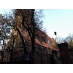 Zdjęcia użytkowników Honor 6