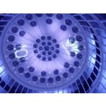 Zdjęcia użytkowników Honor 6