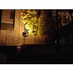 Zdjęcia użytkowników Honor 6