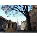 Zdjęcia użytkowników Honor 6