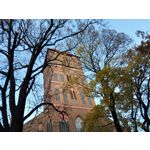 Zdjęcia użytkowników Honor 6