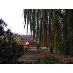 Zdjęcia użytkowników Honor 6