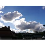 Zdjęcia użytkowników Honor 6X