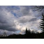 Zdjęcia użytkowników Honor 6X