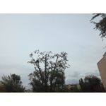 Zdjęcia użytkowników Honor 7 Lite