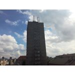 Zdjęcia użytkowników Honor 7 Lite