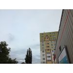 Zdjęcia użytkowników Honor 7 Lite