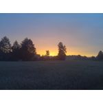 Zdjęcia użytkowników Honor 7 Lite