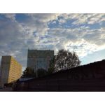 Zdjęcia użytkowników Honor 7 Lite