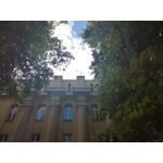 Zdjęcia użytkowników Honor 7 Lite