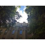 Zdjęcia użytkowników Honor 7 Lite