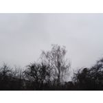 Zdjęcia użytkowników Honor 7