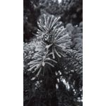 Zdjęcia użytkowników Honor 7