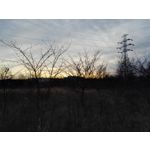 Zdjęcia użytkowników Honor 7