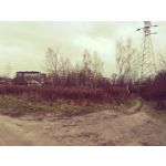 Zdjęcia użytkowników Honor 7