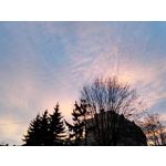 Zdjęcia użytkowników Honor 7